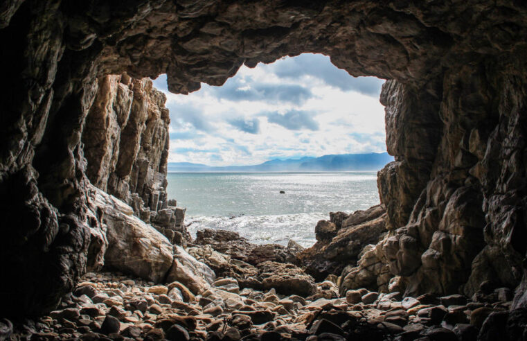 Ființele nopții din urmă