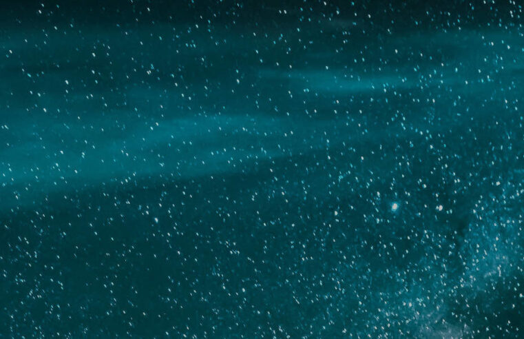 Echipa de coordonatori